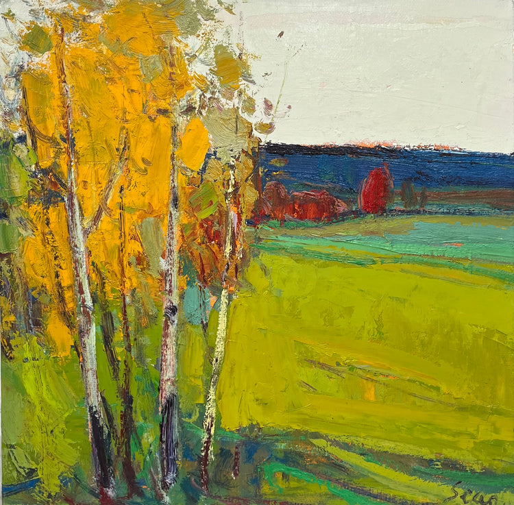 SEAN 24x24 95