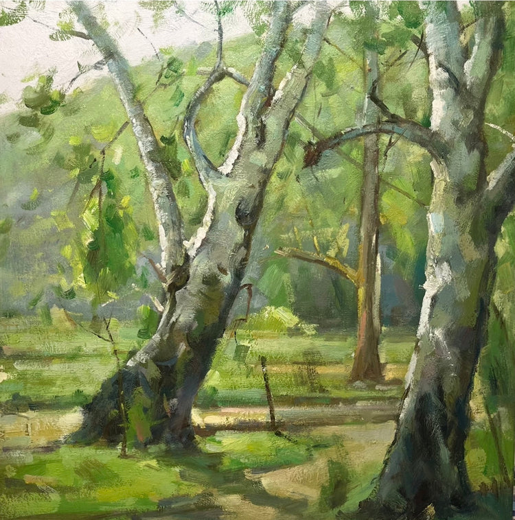 Landscape 36x36 78